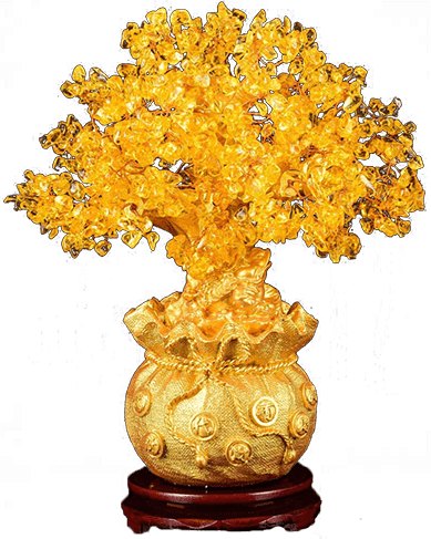 bonzai